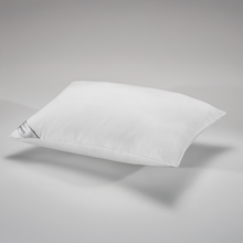 Kopfkissen Levitare 50x70 cm - Altenburg - Memomad