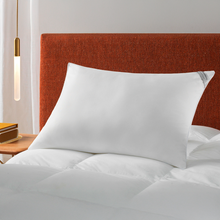 Kopfkissen Levitare 50x70 cm - Altenburg - Memomad